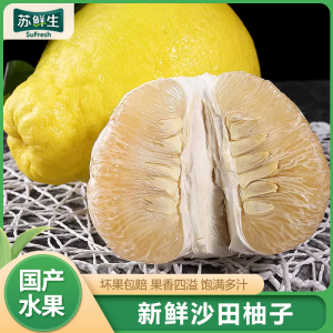 [苏鲜生]新鲜梅州沙田柚子 特大果 净重8.7斤 2个 新鲜柚子水果 蜜柚