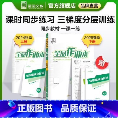 数学[华师版] 八年级下 [正版]作业本 数学 八年级上下册 华师版HS8年级教程同步练习册 初二检测试 必刷题天天练暑