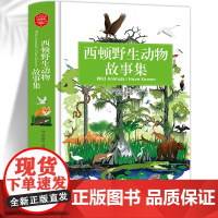 西顿野生动物故事集 精装版全译本世界文学名著青少年课外读物外国文学名家精选书系6-15岁中小学生课外阅读书