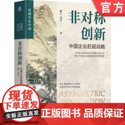 正版 非对称创新:中国企业赶超战略 魏江、刘洋 著 中国管理、中国企业正在崛起 9787111763154 机械工业