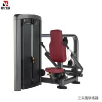 康力强LS510商用坐式肱三头肌手臂下压练习肌肉专项训练局部型力量器械