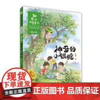 [正版]金波四季童话注音美绘版夏天卷神奇的小银蛇6-9岁儿童文学儿童读物一二三年级课外阅读书儿童文学6-9-12岁中小学