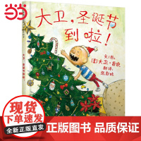 大卫圣诞节到啦大卫不可以系列3-4-6-7-8周岁亲子共读幼儿园儿童绘本宝宝情商早教启蒙认知睡前童话故事书图画书籍