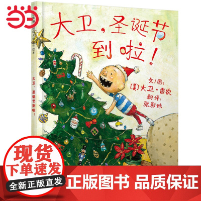 大卫圣诞节到啦大卫不可以系列3-4-6-7-8周岁亲子共读幼儿园儿童绘本宝宝情商早教启蒙认知睡前童话故事书图画书籍