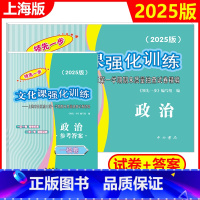 2025高考一模 政治[试卷+答案] 高中三年级 [正版]2025-2024年版领先一步 政治 上海高考政治一模卷 试卷