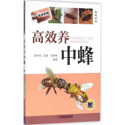 醉染图书高效养中蜂9787111529361