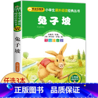 兔子坡 [正版]宝葫芦的秘密二三年级必读 注音版带拼音 小学一年级阅读课外书上册下册下学期 张天翼原著完整版宝芦葫 小学