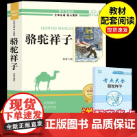 钢铁是怎样炼成的和骆驼祥子七年级下册必读正版课外书海底两万里