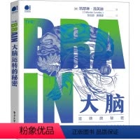 [正版]大脑运转的秘密 (英)凯瑟琳·洛芙迪著脑科学科普读物大脑简识大脑的一天人人都该懂的脑科学大脑全书认知和自我提升
