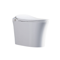 瑞尔特R&T智能马桶C20Max天际双杀菌升级座圈即热烘干支持儿童洗