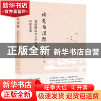 正版 诗意与涅槃:新时期山东文学中的村庄意象 许玉庆著 广西师范