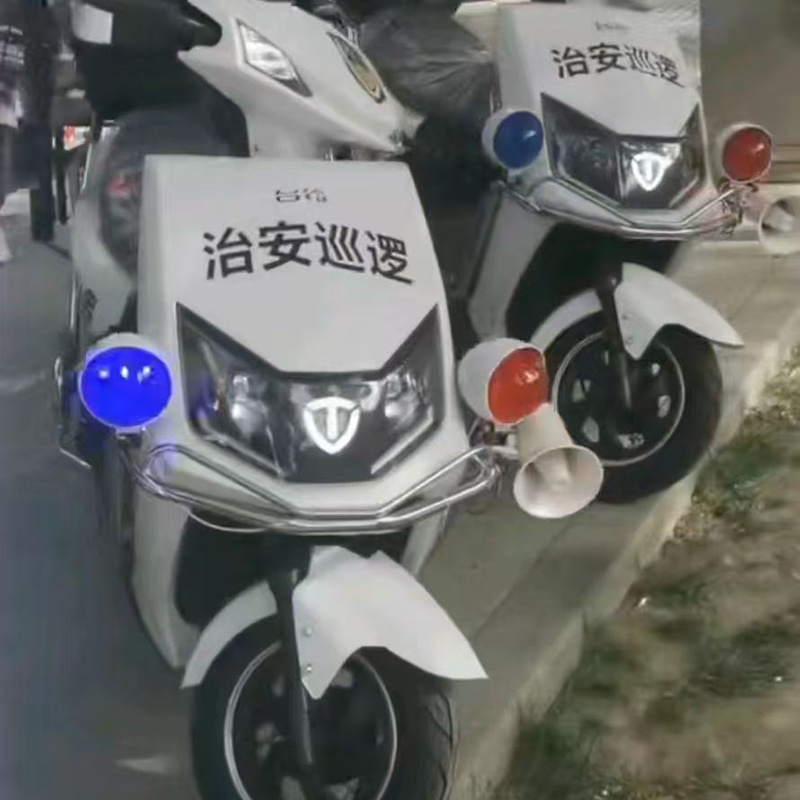台铃(TaiLG) A1电动二轮自行车