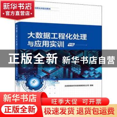 正版 大数据工程化处理与应用实训(中级) 北京新奥时代科技有限