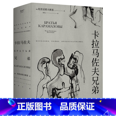 卡拉马佐夫兄弟 [正版]卡拉马佐夫兄弟 陀思妥耶夫斯基 耿济之译 罗翔 长篇小说 爱生活和具体的人 附人物关系图 外国文