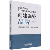音像创建强势品牌--品牌创新与管理(理论与实务篇)袁胜军
