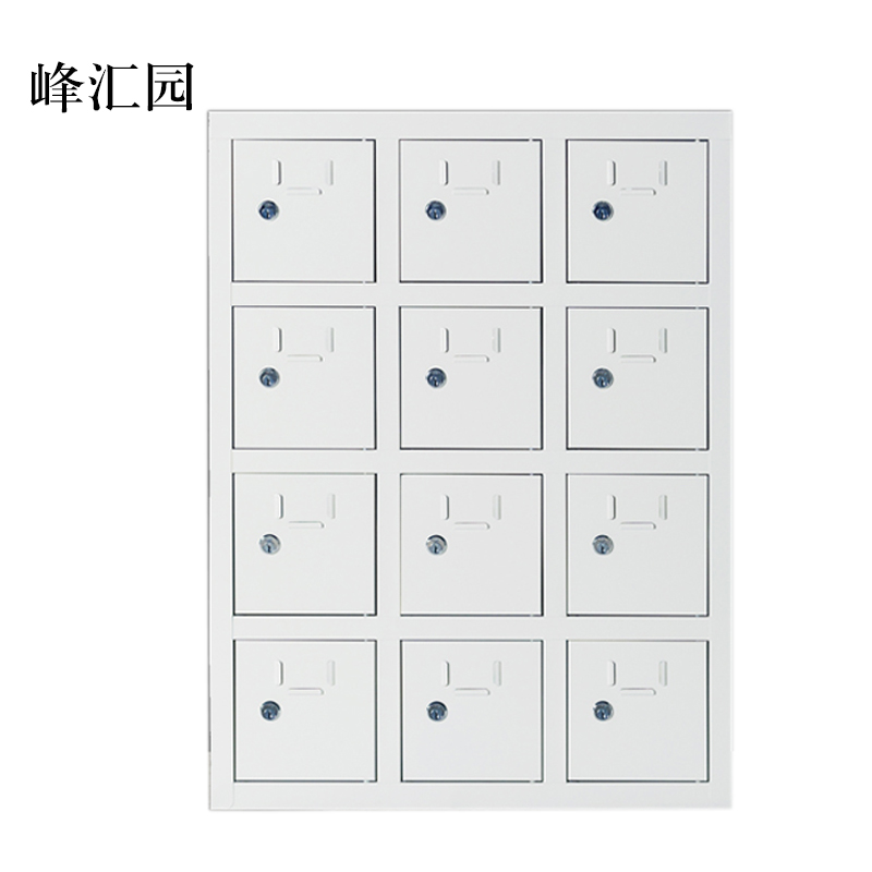 峰汇园手机存放柜12门