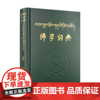 正版 佛学词典 汉藏 王沂暖主编 青海民族出版社精装