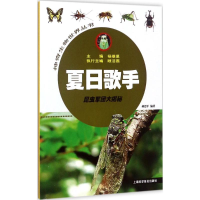 [M]夏日歌手-9787542769459