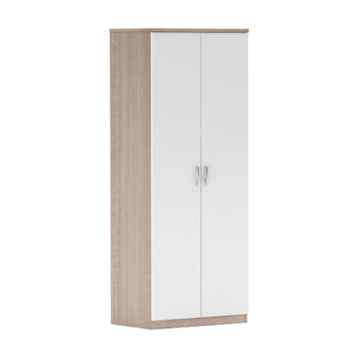 臻远 ZY-GYJJ18 公寓套房家具 宿舍家具双门衣柜衣物收纳柜