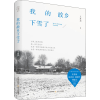音像我的故乡下雪了王雁翔