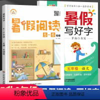 [正版]荣恒教育暑假阅读写好字字帖描红五升六年级语文专项训练 小学5升6年级暑期阅读练习题每日一练天天练假期课外兴趣阅