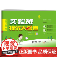 实验班提优大考卷 三年级下册 小学数学 人教版 2024年春季新版教材同步单元巩固专项分类综合强化提优训练月度期中期末测