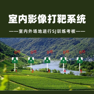 LJYZN-C1573电子智能激光模拟影像靶系统射击激光瞄准分析练习系统智能模拟打靶系统自动报靶胸环靶系统投影系统
