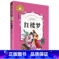 [正版]红楼梦 彩图注音版 四大名著注音版 儿童读物一二三四年级书籍6-7-8-9-10岁小学生课外书 故事书名著