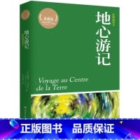 [正版]地心游记 湖南文艺 [法]儒勒·凡尔纳 外国文学名著读 9787540487614