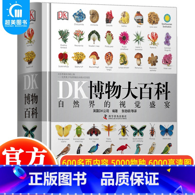 DK博物大百科 [正版]抖音同款DK玩出来的百科全3册玩转数学开启数学之旅+旗子数字游戏+ 奇趣数字游戏 6-12-15