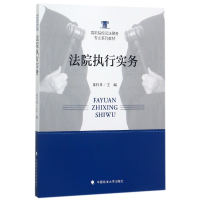 音像法院执行实务(高职院校司法警务专业系列教材)编者:童付章