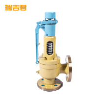 瑞吉君 弹簧式安全阀 DN50 个