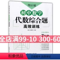 [正版]新版 周计划 初中数学代数综合题高效训练 七年级/7年级 答案详解版 中考真题提前演练 创新思维题型 华东理工