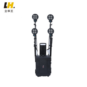 立华王(LihuaKing) LH5300D 4*40W、IP65、、电压DC12V