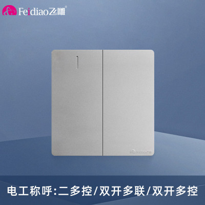 飞雕(FEIDIAO)开关面板A7纯平大板 多控开关 二开多控电源墙壁开关面板 A7月光银二开多控