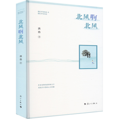 正版新书]北风啊北风洪浩 著9787540792480