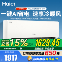 海尔(Haier)1.5匹 新一级能效净省电系列冷暖家用卧室挂机空调 高温除菌自清洁KFR-35GW/P2-1