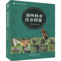 音像徐州林业昆虫图鉴郭同斌,刘云鹏等编著