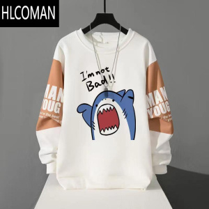 HLCOMAN长袖t恤男新款卫衣男款宽松男青年圆领t恤薄款休闲创意青少年
