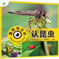 音像童眼观世界 认昆虫作者