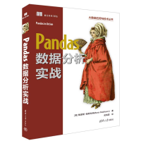 正版新书]Pandas数据分析实战[美]鲍里斯·帕斯哈弗(Boris Paskh