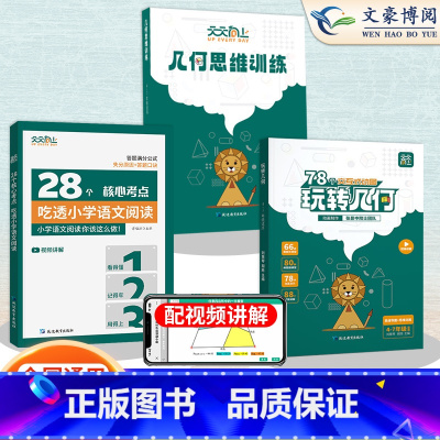 [3册]玩转几何2本套+28个核心考点 小学通用 [正版]天天向上28个核心考点吃透小学语文阅读一二三四五六年级人教版上