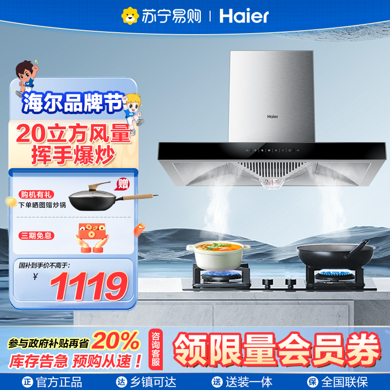 海尔(Haier)抽油烟机CXW-219-ET903 欧式抽油烟机 21爆炒大吸力 一级能效 触控 家用