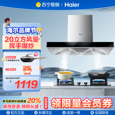 海尔(Haier)抽油烟机CXW-219-ET903 欧式抽油烟机 21爆炒大吸力 一级能效 触控 家用