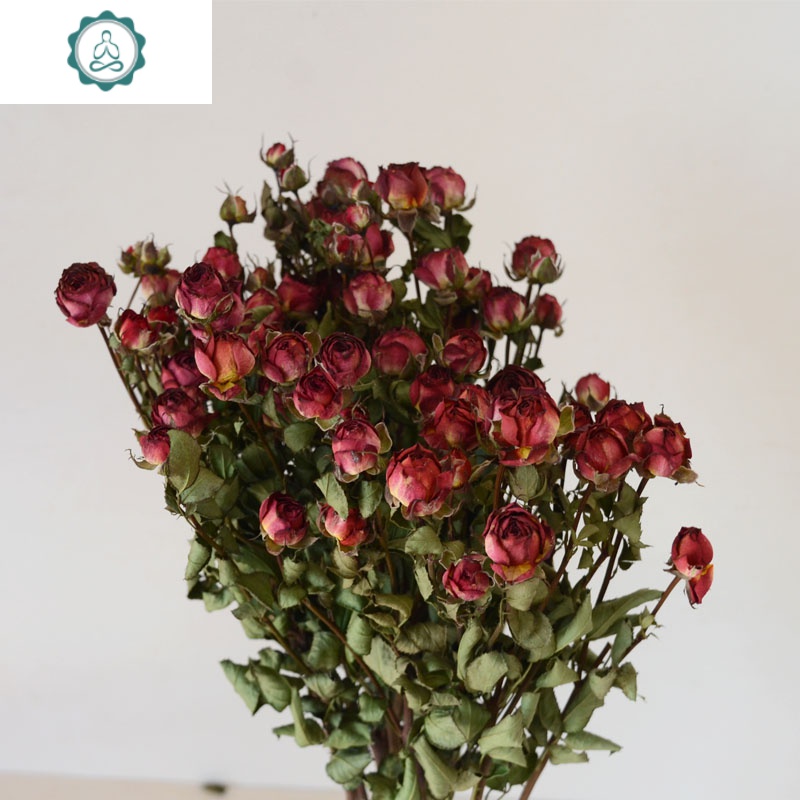 云南干花多头钻石小玫瑰客厅,办公室等装饰花材 封后 蔷薇紫罗兰10支
