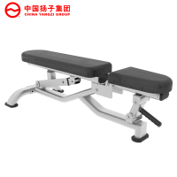 扬子(YANGZI)可调哑铃椅YZ-J037