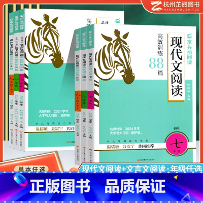 现代文+文言文(2本) 九年级/初中三年级 [正版]2024初中文言文现代文阅读高效训练88篇初中英语阅读组合突破七八九