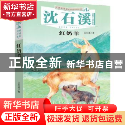 正版 红奶羊 沈石溪著 新世纪出版社 9787558324475 书籍