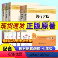 [七上必读]朝花夕拾+西游记 [正版]2024新版朝花夕拾考点练习七年级必读书人教版全新解读送考试手册人民文学出版社初中