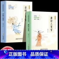 全2册 唐诗+宋词 [正版]全24册 中国国学经典藏书儒家经典全集图书注无障碍阅读中华传统文化读本中华国学经典名著藏书中